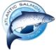 The organisation logo for The Atlantic Salmon Trust