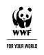 The organisation logo for WWF UK