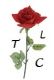 The organisation logo for The Laurandy Centre